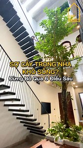 Trồng cây trong nhà không khó nếu bạn nắm được những lưu ý sau. SBS HOUSE hiện đang thực hiện chiến dịch chung tay hành động cùng cộng đồng vì một tương lai xanh thông qua chiến dịch “𝐌𝐨̣̂𝐭 𝐧𝐠𝐨̂𝐢 𝐧𝐡𝐚̀, 𝐦𝐨̣̂𝐭 𝐦𝐚̂̀𝐦 𝐱𝐚𝐧𝐡”. Với mỗi hợp đồng ký kết, SBS HOUSE sẽ tặng một cây xanh cho các tổ chức vì môi trường tại thành phố Đà Nẵng - nơi có trụ sở chính của SBS. Các cây xanh sẽ được trồng tại khu đô thị, công viên, không gian công cộng, góp phần phủ xanh thành phố. #motngoinhamotm