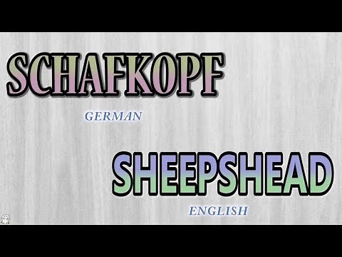 Schafkopf | Sheepshead - How to Play : Episode 1 - Game Overview (Intro)
