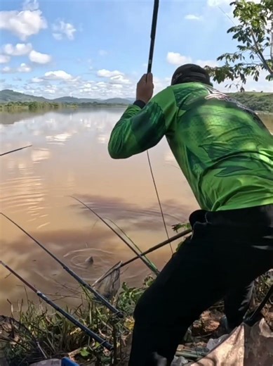 pescaria de tilápia selvagem