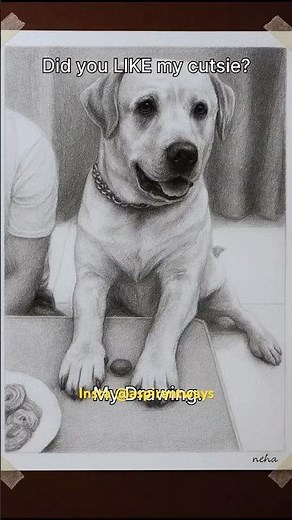 The Ultimate Dog Test! 🤯 Hyper-Realistic Drawing of This Yellow Labrador's Restraint!