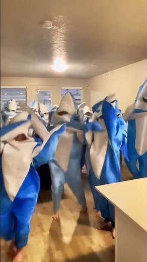 13th Cameraman joins #DancingSharks #LeftShark #KatyPerry #CaliforniaGurls #SharkGuy