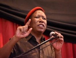 Biography of Julius Malema: Age, Wife, Net Worth, Speech & News - South Africa Portal