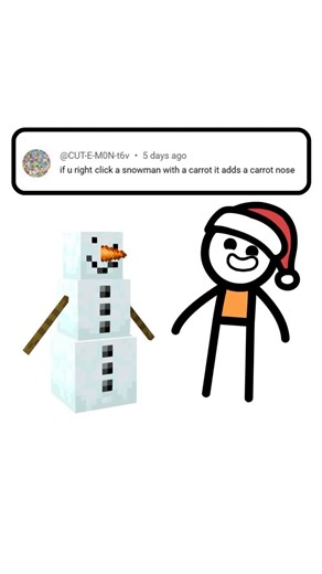 GarrettTheCarrot on Instagram: "Animating your Christmas Minecraft ideas"