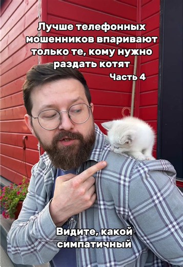 Всех котят раздали, но контент с запасом сняли. Можете просто поставить лайк и подписаться. И написать в комментариях, какие красивые котята. Ну или ещё у соседки есть рыжие, если надо кому. #Котята #котенок #ипкоролев #сценарии #сценарист