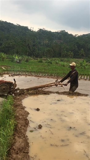 Yanmar vs. Kubota Tractors for Indonesian Farmers