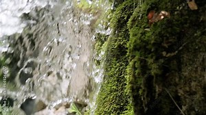 Slow motion close up video of spring water flowing over rock with green moss, water ecology concept.