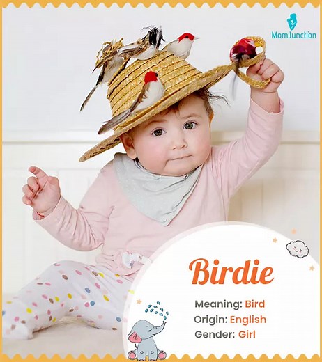 Birdie Name Meaning, Origin, History, And Popularity