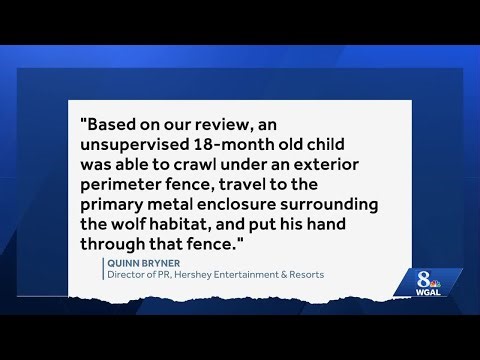 Child injured after sticking hand through fence of wolf habitat at ZooAmerica