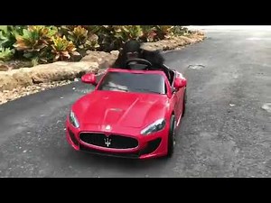 Chimpanzee driving an electric car!