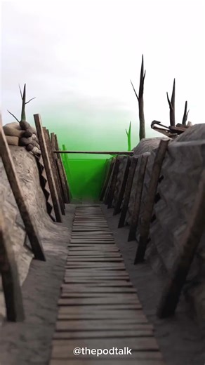 pilosa (@pilosa050)’s videos with original sound - pilosa