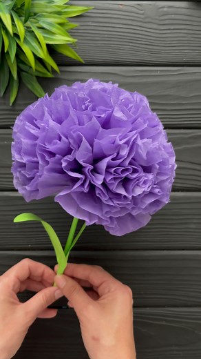 211K views · 3.5K reactions | Easy Tissue Paper Flower Paper Decoration DIY #diy #craftideas #homedecor #paperflower #flowers #papercrafts #fyp | Origami Amazing | Facebook