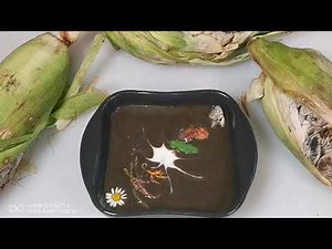 How to prepare & cook a delicious fresh Black Huitlacoche Corn Smut Mold Fungus Soup, simple & fast