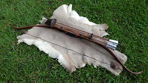 I've been teasing some pictures for a while, but here is the full finished product.The bow was built to bridge the gap between Primitive and Traditional archery! It is not a replica but very much inspired by the vintage 1930s recurves. Made from a single, nearly perfect stave of osage backed with rawhide, this bow has clean lines and draws exceptionally smooth. It is 60 inches long tip to tip made from a 66" long stave. It draws 47# at a full 30" draw (not to be drawn passed 30") 2 year warranty