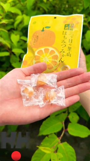 How Candy Is Made In Factories Will Surprise You!