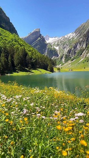 Switzerland 🇨🇭 | Swiss Nature