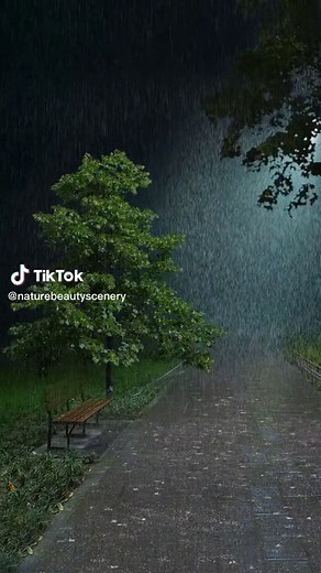 Beautiful Nature Rain Scenery - Stunning Live Wallpaper