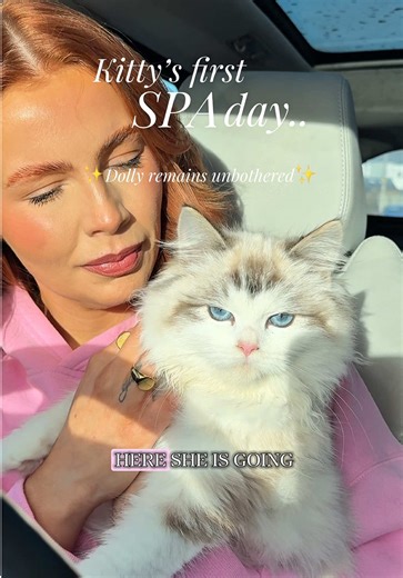 Pampering Ragdoll Cat: A Perfect Spa Day for Dolly