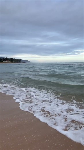 ASMR Haleiwa swim walk #beach #waves surfs up winter is coming