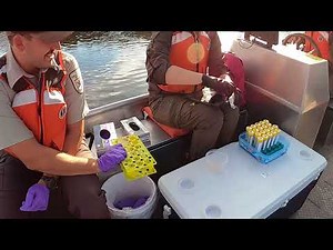 eDNA Sample Collection Procedures