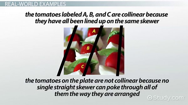 Collinear Points in Geometry | Definition & Examples