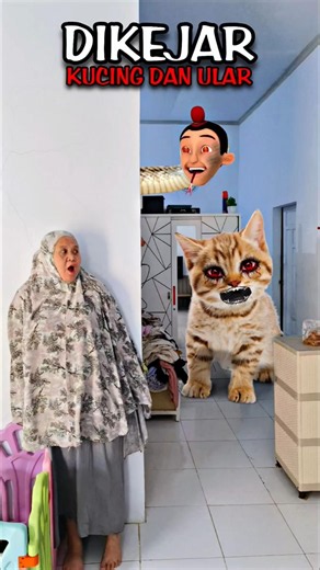 What❗Chased by a Cat in the House❗Here's How to Make It❗#editing #tutorial
