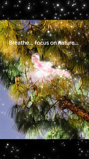 Dr. Wendy O’Connor 03💖 (@drwendyoconnor03)’s video of nature