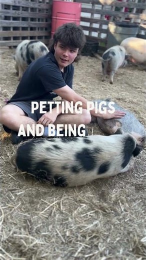 Finding Joy in the Moment with Pigs 🐷 #minipig #animallovers #piggypettingzoo