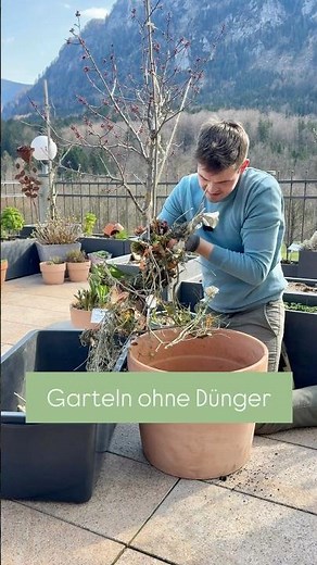 Kompost im Topf – so funktioniert nachhaltiges Gärtnern auf kleinstem Raum 🌱