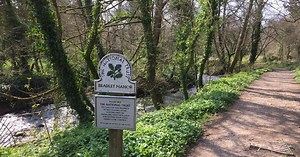 The Devil's Pit and other hidden secrets of Bradley Woods