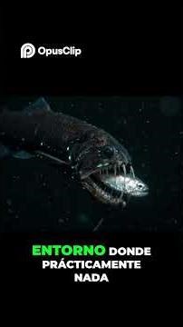 “El pez dragón negro: el monstruo real del océano profundo 🐉
