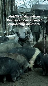 11K views · 336 reactions | Real animals don’t belong in fake dramas! Animals were put into all sorts of stressful and unnatural situations while filming Netflix’s miniseries, ‘American Primeval.’ Tell the show's producers that no storyline is worth animal exploitation. They’re not props! | PETA (People for the Ethical Treatment of Animals) | Facebook