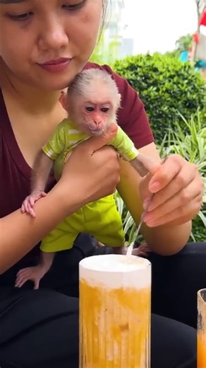 31K views · 679 reactions | Lala and Thuy sip juice and share laughter at a luxury coffee shop! #Monkeylala #Mkpage | Mk Page | Facebook