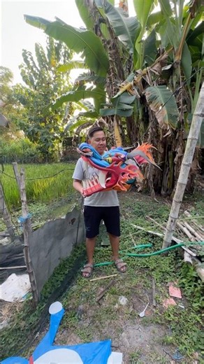 I Found a Kid's Lost Dragon Kite #kite #lostkite #dragonkite #kidstantrum