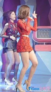 141229 T-ARA SAF公演