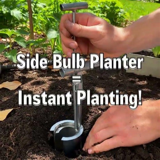 Must Have: Stainless Steel Bulb Planter Tool Side Opening Transplanter — 3x Speed #shorts