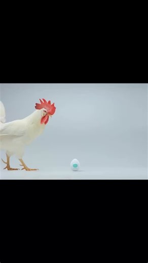 TENGA on Instagram: "🥚TENGA EGG🐣 タマゴ型ケースを開けると、中から現れるぷるんとした物体。 こんなカタチで何ができるの！？と思いきや、超ストレッチ素材のエラストマーがびよーんと伸びて、 どんなサイズの人にもちゃんとフィット！根元まで包み込みます。 https://www.tenga.co.jp/products/disposable/egg-series/ #TENGA"