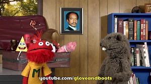 We will be LIVE on YOUTUBE today at 4PM EST! Come join us! | Glove and Boots