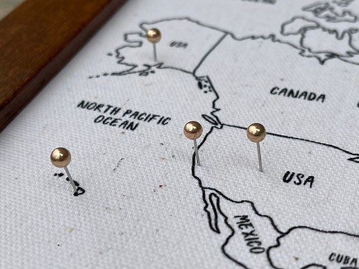 World Push Pin Personalized Map, Custom Push Pin Map for Travels, Anniversary Cotton Gift, Unique Wedding Gift for Couple, Hand Drawn Map - Etsy