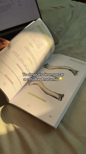 Guía Ósea Anatomía Humana: Huesos, Ilustraciones y Detalles