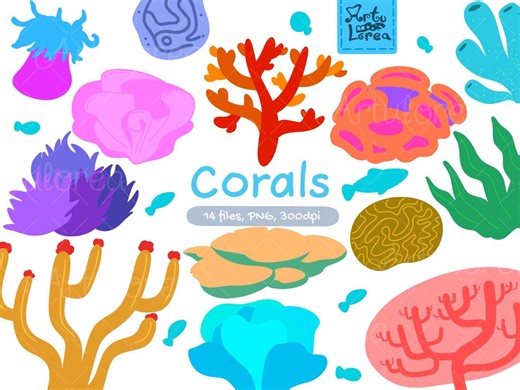Coral Clipart PNG, Ocean Reef Graphics (digital Download) - Etsy