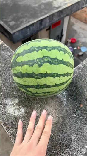 Will a watermelon explode if it rolls down from a tall building? 🍉💥 #watermelon