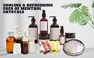 COOLING AND REFRESHING USES OF MENTHOL CRYSTAL - Green Herbology
