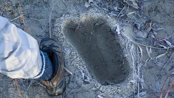 Why People Believed 20-Foot Giants Once Roamed America