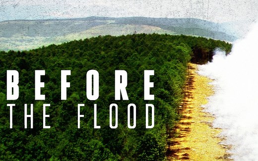 [豆瓣8.8分][英语中字][国家地理纪录片]洪水泛滥之前/莱昂纳多·迪卡普里奥制片 Before the Flood (2016)