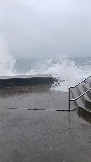 48K views · 429 reactions | Spectacular nature  | Newtown & Guillamene Swimming Club | Facebook