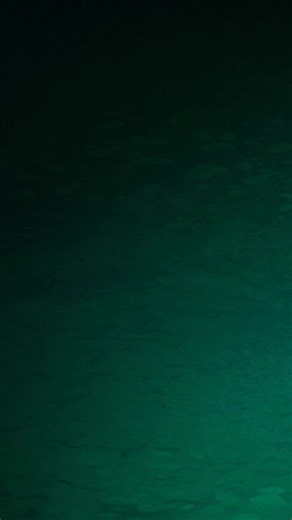 New episodes Sundays at 11:30pm | Next Day HBO Max | Adult Swim