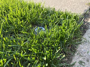 Earthwise push reel mower