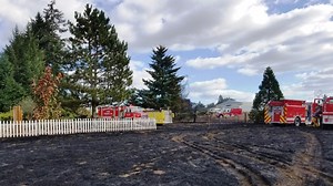 Homeowner burning yellow jackets instead starts brush fire, officials say