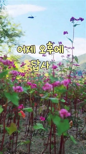답사 강원특별자치도 9월 10월 축제 정보 때깔 보소