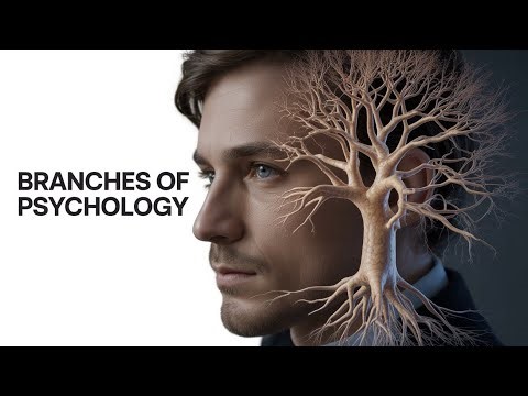Branches of Psychology | Psychology explained simply